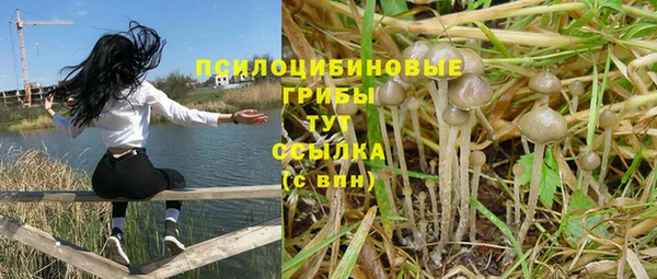 первитин Алексин