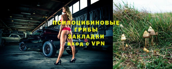 гашиш Новодвинск