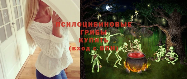 круглые Алексеевка