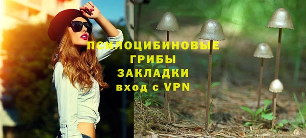 круглые Алексеевка